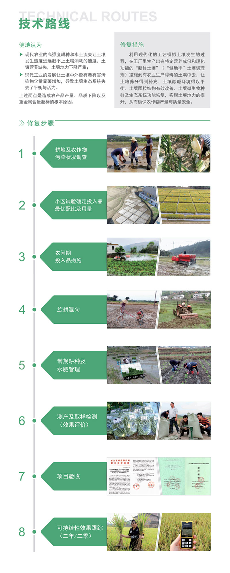 技术路线.jpg